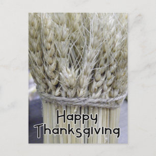 Happy Thanksgiving Feiertagspostkarte