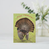 Happy Thanksgiving Feiertagspostkarte (Stehend Vorderseite)