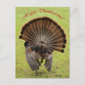 Happy Thanksgiving Feiertagspostkarte (Vorderseite)