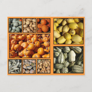 Happy Thanksgiving Feiertagspostkarte