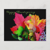 Happy Thanksgiving Foliage Postkarten (Vorderseite)