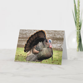 Happy Thanksgiving Karte