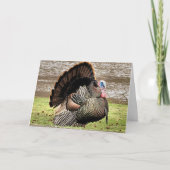 Happy Thanksgiving Karte (Vorderseite)