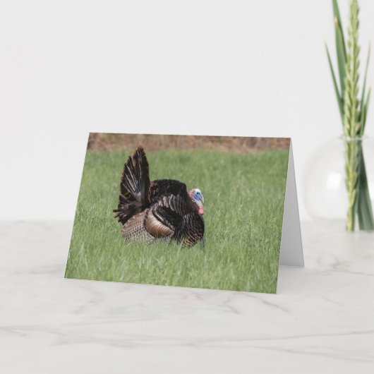 Happy Thanksgiving Karte (Vorderseite)