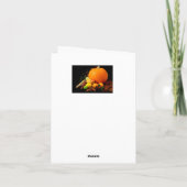 Happy Thanksgiving Karte (Rückseite)