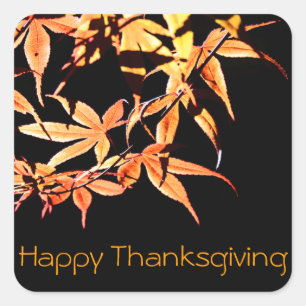 Happy Thanksgiving Maples Herbstfarben Sticker