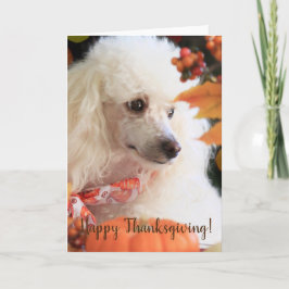Happy Thanksgiving Poodle Welpenkarte Feiertagskarte