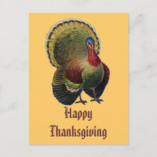 Happy Thanksgiving Postcard Feiertagspostkarte