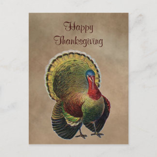 Happy Thanksgiving Postcard Feiertagspostkarte