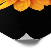 Happy Thanksgiving Poster (Ecke)