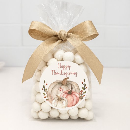 Happy Thanksgiving Rustic Boho White Pumpkin Runder Aufkleber