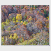 Happy Thanksgiving Schöne Aussicht Herbstwald Geschenkpapier (Flach)