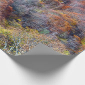 Happy Thanksgiving Schöne Aussicht Herbstwald Geschenkpapier (Ecke)