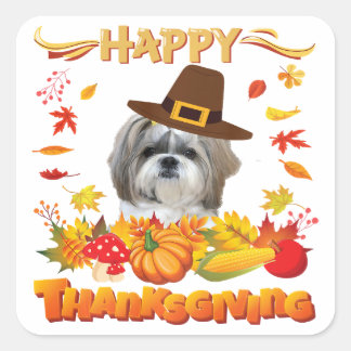 Happy Thanksgiving Shih Tzu Dog | Ich bin dankbar Quadratischer Aufkleber