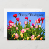 Happy Thanksgiving Verschiedene Tulpen #3 Postkart Postkarte (Vorne/Hinten)