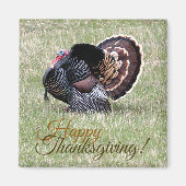 Happy Thanksgiving Wild Turkey Magnet (Vorne)