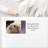 Happy tiel (Insitu)