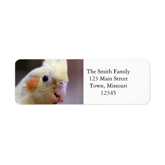 Happy tiel (Vorne)