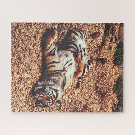 Happy Tiger Bly Up Rolling in Blätter Puzzle (Horizontal)