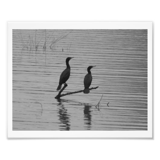 Happy Together Fotodruck (Vorne)