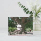 Happy Tree at Alton Towers Postkarte (Stehend Vorderseite)