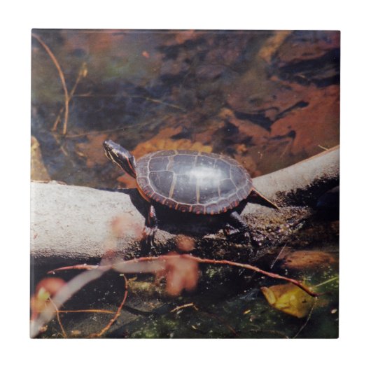 Happy Turtle Fliese (Vorderseite)