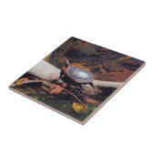 Happy Turtle Fliese (Seite)