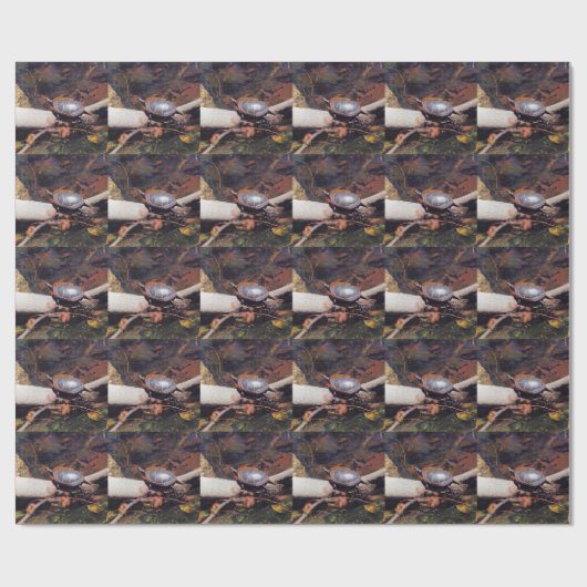 Happy Turtle Geschenkpapier (Flach)