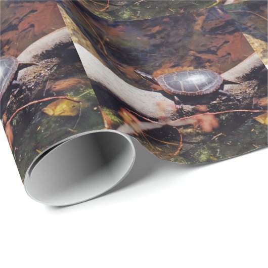 Happy Turtle Geschenkpapier (Rolleneckpunkt)