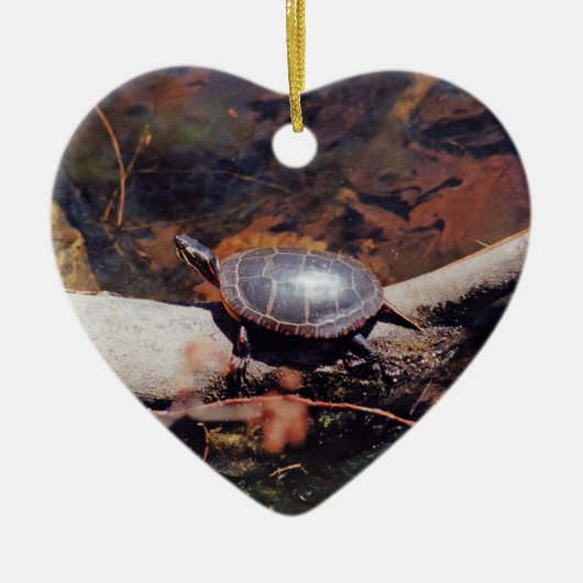 Happy Turtle Keramik Ornament (Vorne)