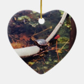 Happy Turtle Keramik Ornament (Hinten)