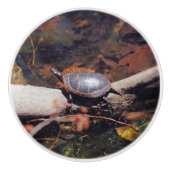 Happy Turtle Keramikknauf (Vorderseite)