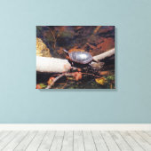 Happy Turtle Leinwanddruck (Insitu (Holzboden))