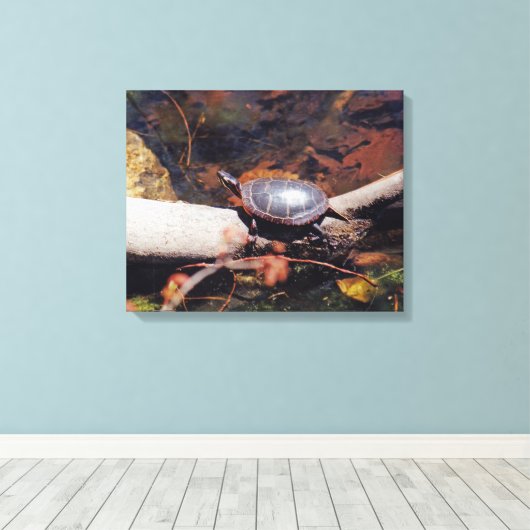 Happy Turtle Leinwanddruck (Insitu (Holzboden))