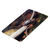 Happy Turtle Magnet (Linke Seite)