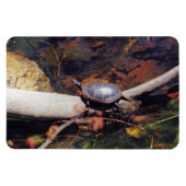 Happy Turtle Magnet (Horizontal)