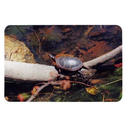 Happy Turtle Magnet (Horizontal)