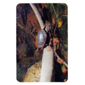 Happy Turtle Magnet (Vertikal)