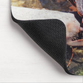 Happy Turtle Mousepad (Ecke)