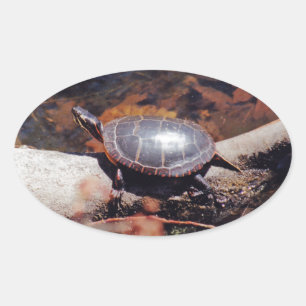 Happy Turtle Ovaler Aufkleber