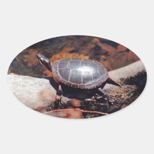 Happy Turtle Ovaler Aufkleber (Vorderseite)