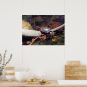 Happy Turtle Poster (Küche)