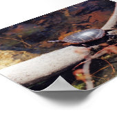 Happy Turtle Poster (Ecke)