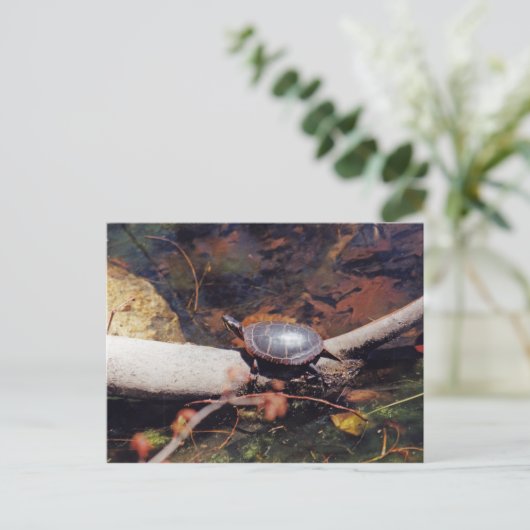 Happy Turtle Postkarte (Stehend Vorderseite)