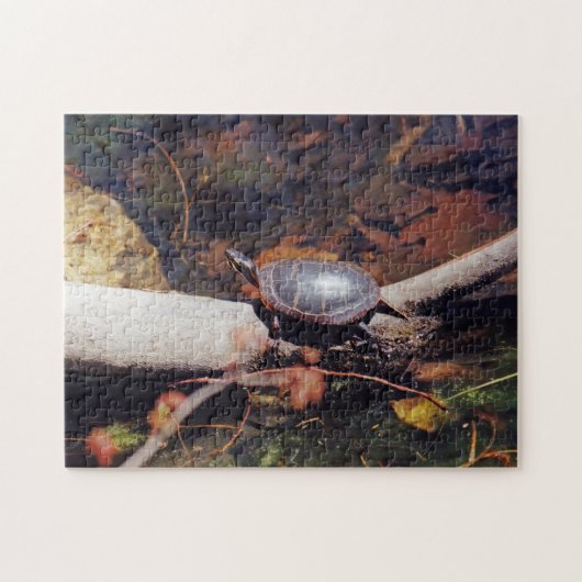 Happy Turtle Puzzle (Horizontal)