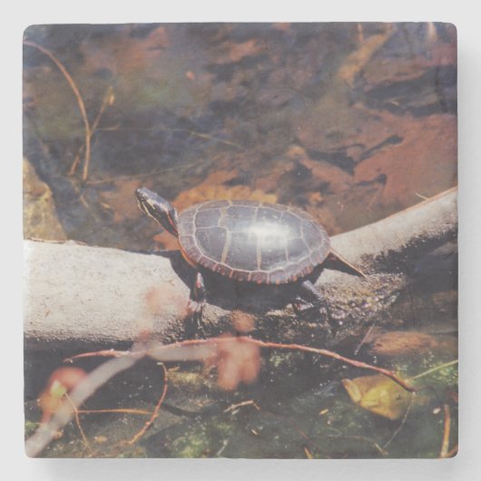 Happy Turtle Steinuntersetzer (Vorderseite)