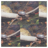 Happy Turtle Stoff (Nahaufnahme)
