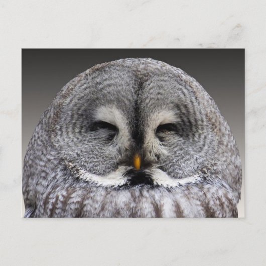 Happy Uu Postkarte (Vorderseite)