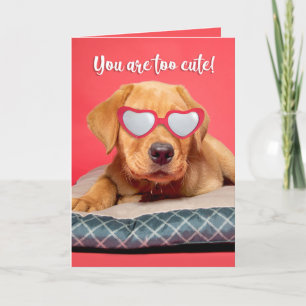 Happy Valeneitne's Day Niedlich Labrador Puppy Spa Feiertagskarte