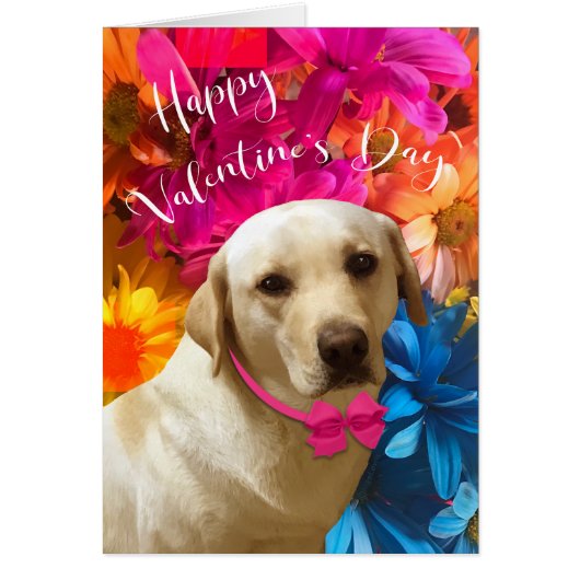 Happy Valentine Pet, Hund, Niedliche Labrador Blum (Vorne)